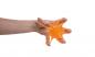 Preview: Hand- und Fingertrainer elastisch "STERN" orange=mittel