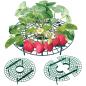 Preview: UPP Frucht-Reifer 5 SETS Kunststoff Unterstützung Schutz Erdbeeren Fruchtreifer Gartenhelfer