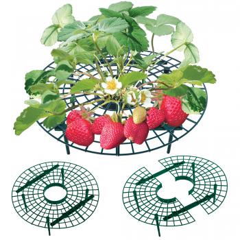 UPP Frucht-Reifer 5 SETS Kunststoff Unterstützung Schutz Erdbeeren Fruchtreifer Gartenhelfer