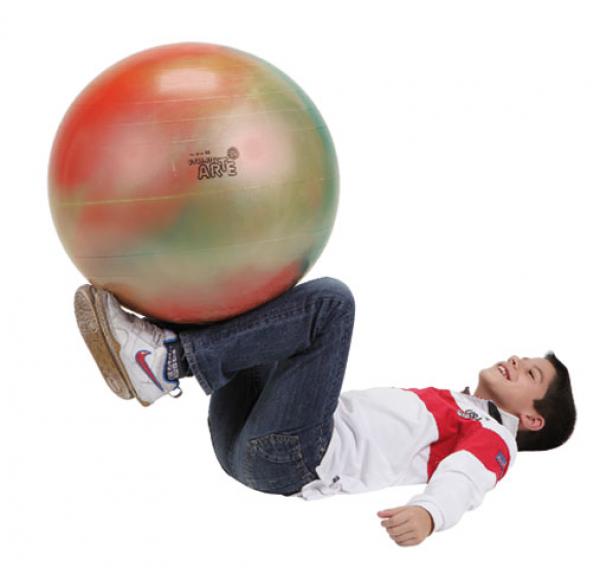 Gymnic ARTE 55 cm Gymnastikball Fitness Multicolor